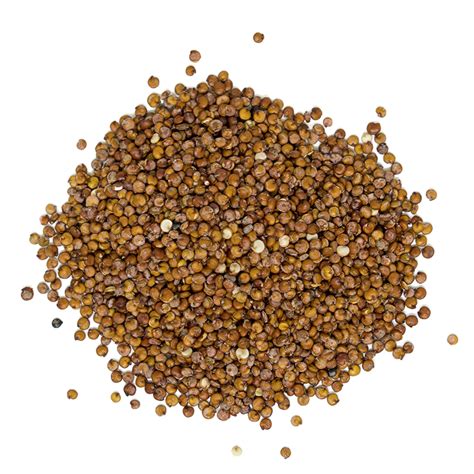  Quinoa: Un grano milenario para la industria de alimentos funcionales y la alimentación sostenible!