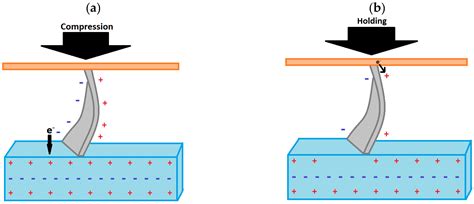  Zinc Oxide: Un Campeón Versátil para Piezoelectricidad y Fotocatálisis!